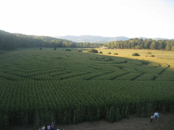 bucks corn maze