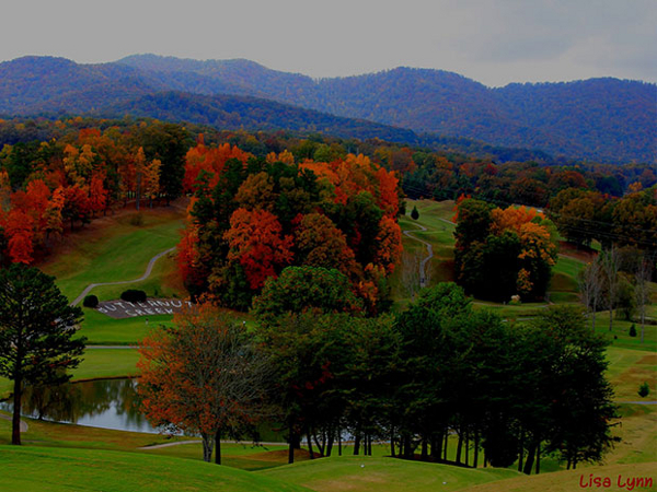 butternut creek golf