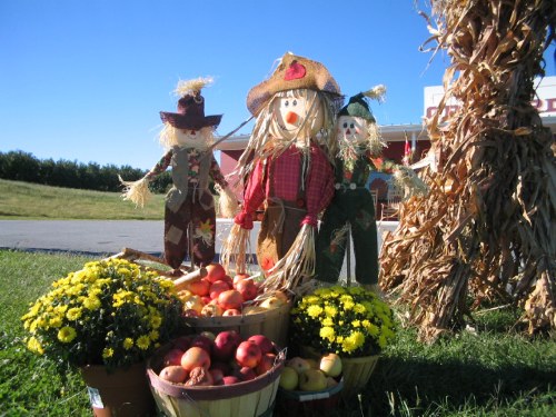 apple festival